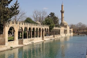 sanliurfa, fish lake, religious-3839528.jpg